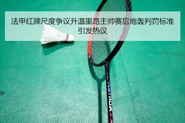 法甲红牌尺度争议升温里昂主帅赛后炮轰判罚标准引发热议